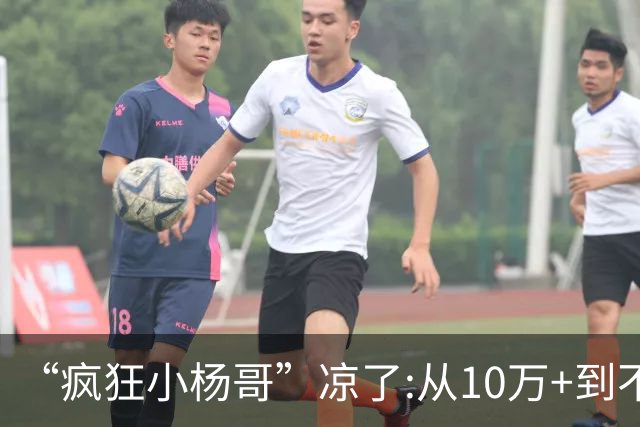 “疯狂小杨哥”凉了:从10万+到不足两千人