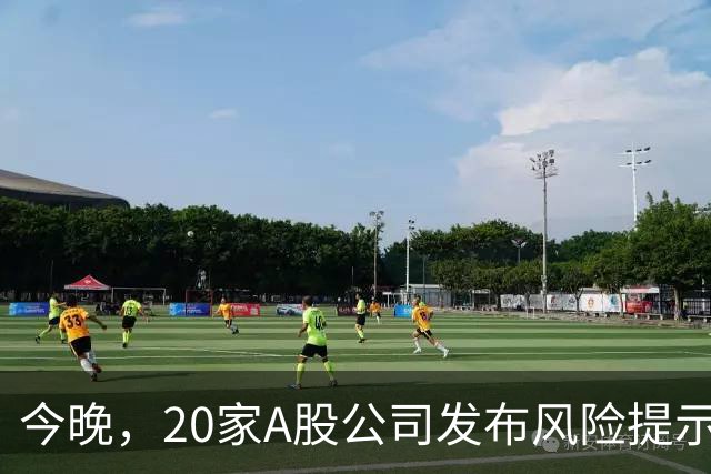 今晚，20家A股公司发布风险提示