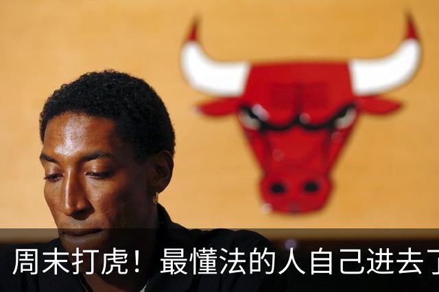 周末打虎！最懂法的人自己进去了，真让人笑话