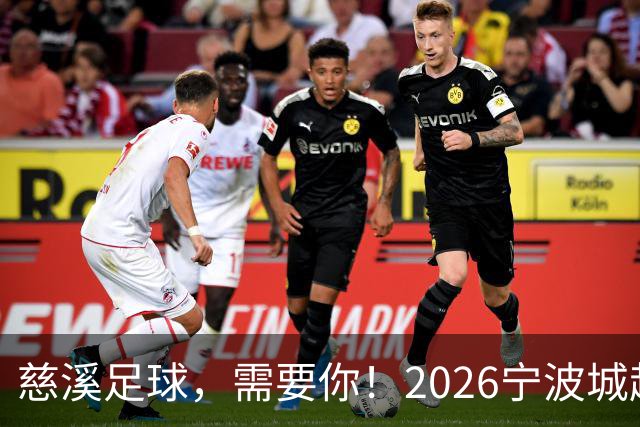 慈溪足球，需要你！2026宁波城超招募令