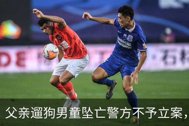 父亲遛狗男童坠亡警方不予立案，母亲最新发声